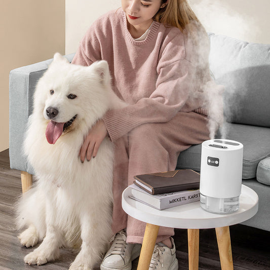 VividHaus Air Purifier & Humidifier